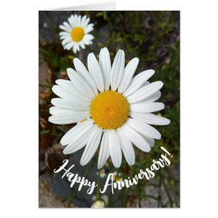 Carte d'anniversaire Fleur de marguerite blanche g