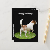 Carte d'anniversaire : Fox Terrier en service de g
