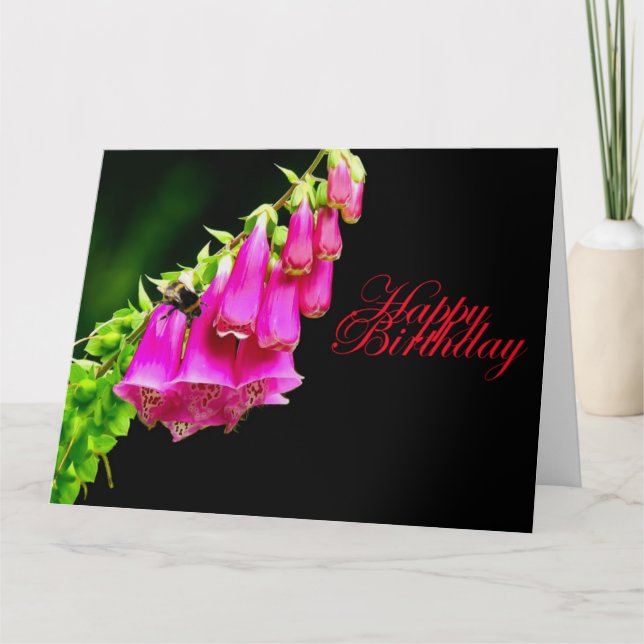 Carte d'anniversaire Foxglove & Bee (Devant)
