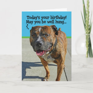 Carte d'anniversaire Funny Pit Bull