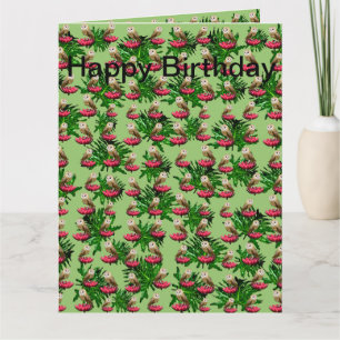 Carte d'anniversaire géante Chouettes effraies et
