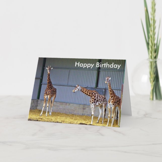 Carte d'anniversaire Giraffe (Devant)
