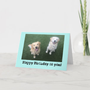 Carte d'anniversaire Golden Retriever