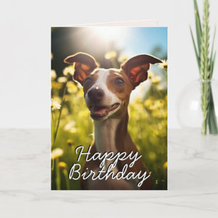 Carte d'anniversaire Greyhound italienne personnal
