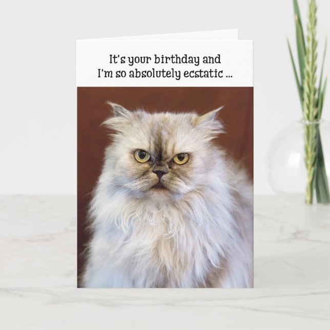 Carte d'Anniversaire Humoristique - Chat Perse Exs (Devant)