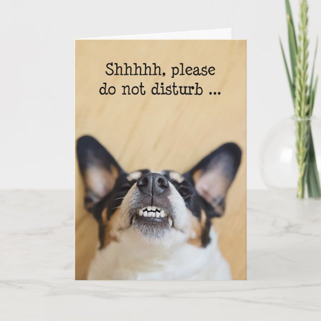 Carte d'anniversaire humoristique - Chien portant  (Devant)