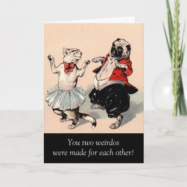 Carte d'anniversaire humoristique de chien de chat (Devant)