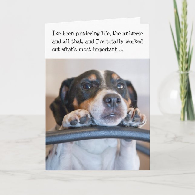 Carte d'anniversaire humoristique - Dog Pondering  (Devant)