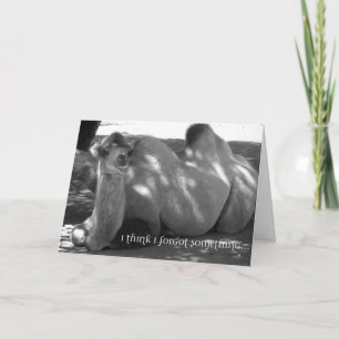 Carte d'anniversaire humoristique en retard - Cart