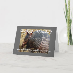 carte d'anniversaire humour armadillo photo art