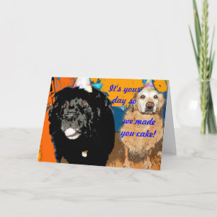 Carte d'anniversaire Humour de chien