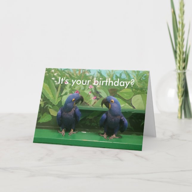Carte d'anniversaire Hyacinth Macaw (Devant)