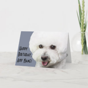 Carte d'anniversaire illustrée Bichon Frise