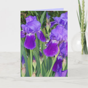 Carte d'anniversaire Iris violets