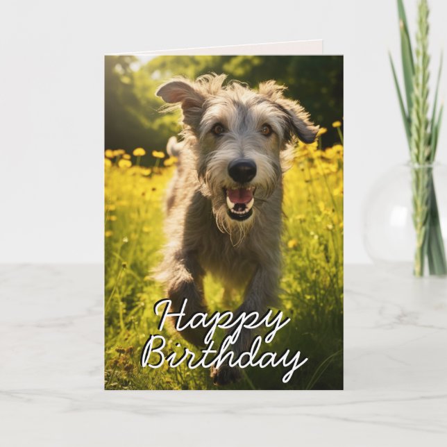 Carte d'anniversaire irlandaise Wolfhound personna (Devant)