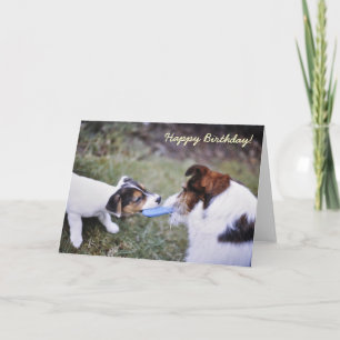 Carte d'anniversaire Jack Russell