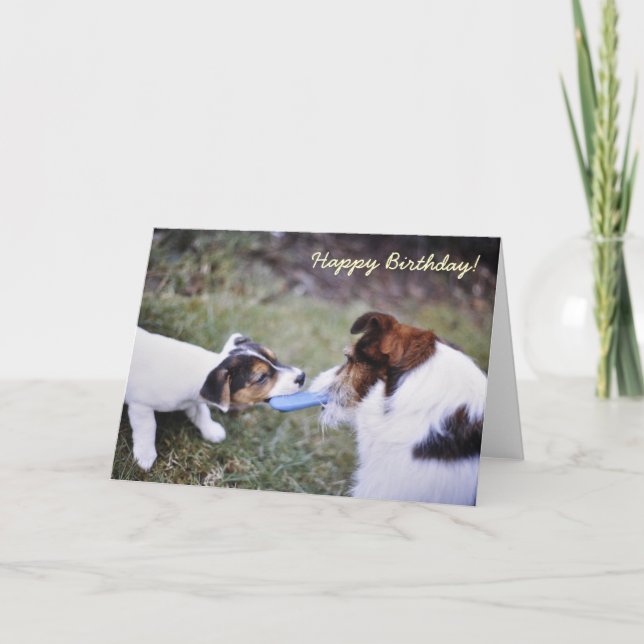 Carte d'anniversaire Jack Russell (Devant)