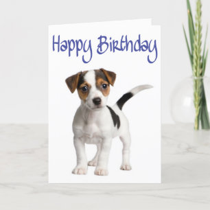 Carte d'anniversaire Jack Russell Terrier Chien ch