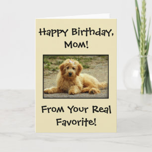 Carte D'Anniversaire Jolie Du Chien Photo