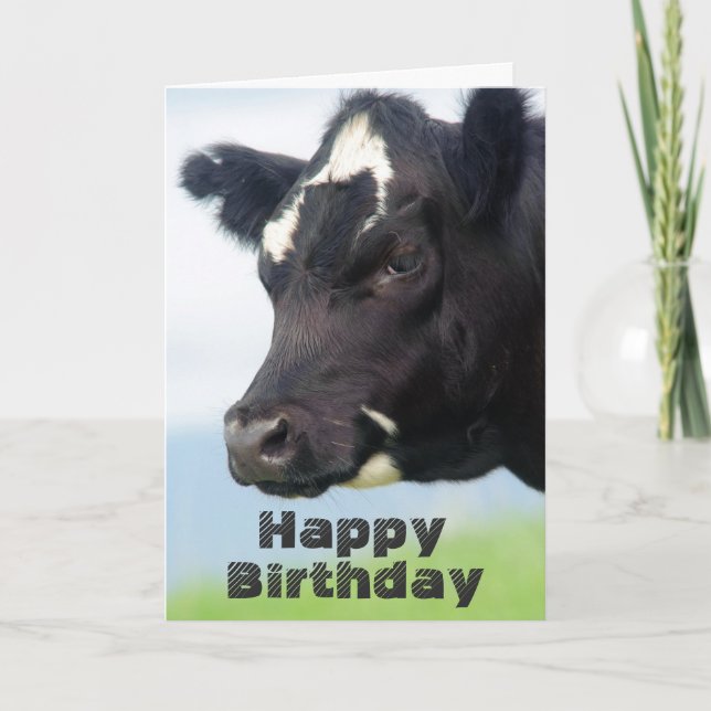 Carte d'anniversaire joyeuse de la vache (Devant)