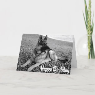 Carte d'anniversaire joyeuse du Chien chiot allema