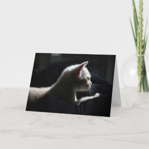 Carte d'anniversaire joyeuse pour chat