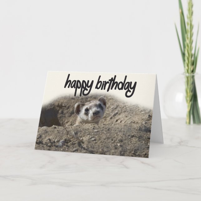 Carte d'anniversaire joyeux Ferret (Devant)