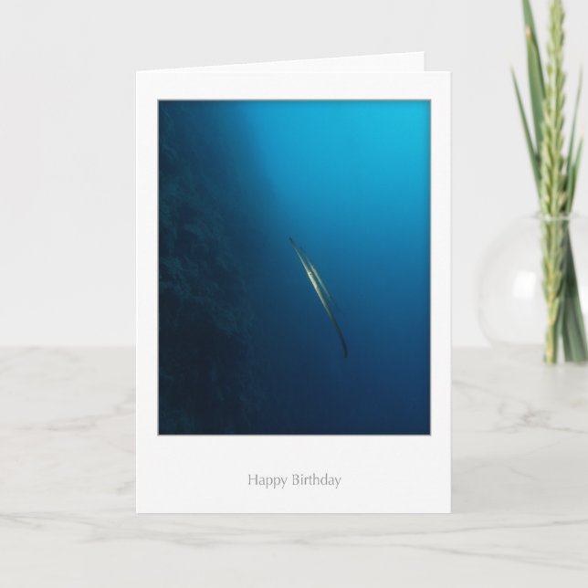 Carte d'anniversaire jumelle de poissons de (Devant)
