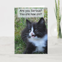 Carte d'anniversaire Kitty - Drôle ! ! !