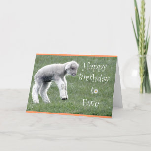 Carte d'anniversaire Little Lamb