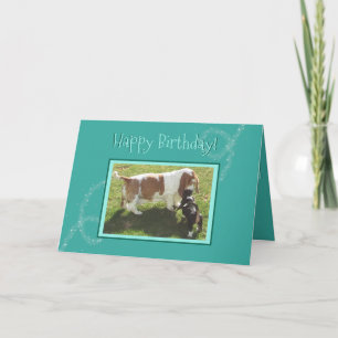Carte d'anniversaire magique avec Hounds Basset