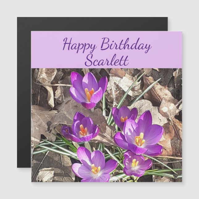 Carte d'anniversaire magnétique de Crocus pourpre (Devant / Derrière)