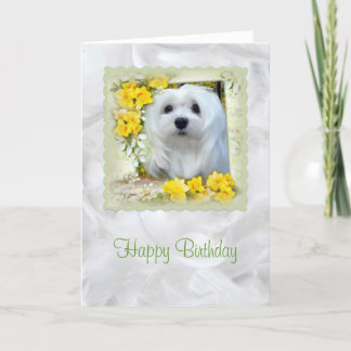 Carte d'anniversaire maltaise