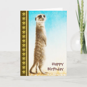 Carte d'anniversaire Meerkat