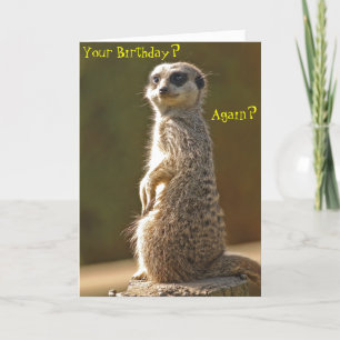 Carte d'anniversaire Meerkat