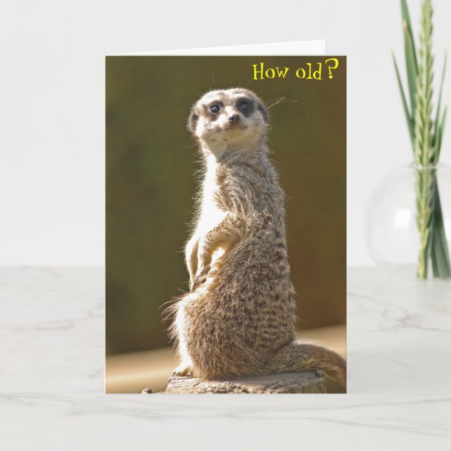 Carte d'anniversaire Meerkat - Quel âge ? (Devant)