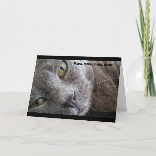 Carte d'anniversaire Meow Kitty Cat (Devant)