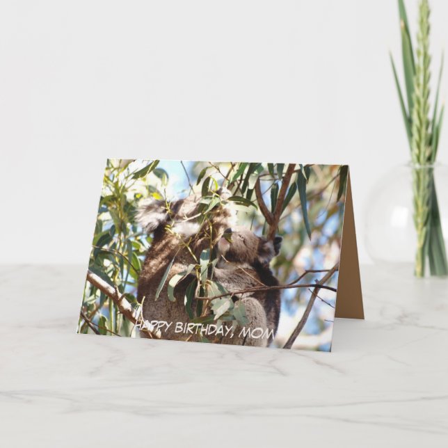 Carte d'anniversaire mère avec Koala joey (Devant)