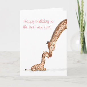Carte d'anniversaire mère girafe et veau pour mama