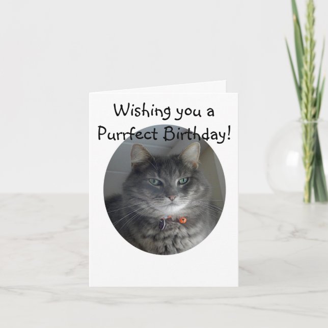 Carte d'anniversaire - MERLIN le chat (Devant)