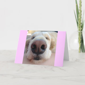 Carte d'anniversaire mignonne