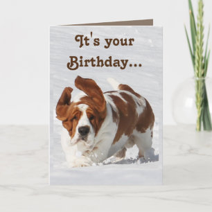 Carte d'anniversaire mignonne avec Basset Hound & 