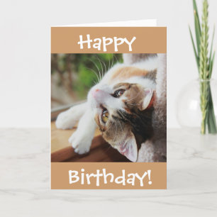Carte d'anniversaire mignonne de chat de calicot,