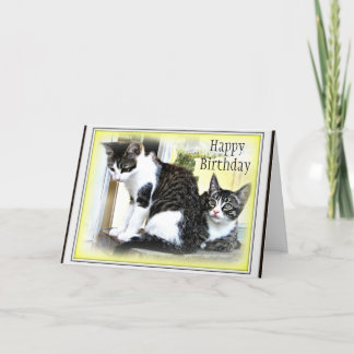 Carte d'anniversaire mignonne de deux chatons