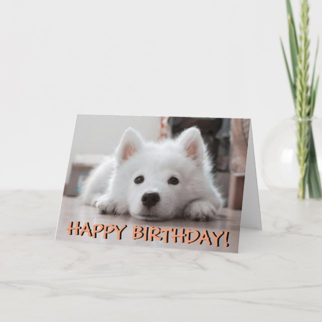 Carte d'anniversaire mignonne de photo de chiot (Devant)