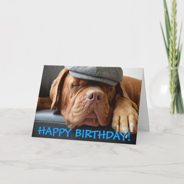 Carte d'anniversaire mignonne de photo de dogue de (Devant)