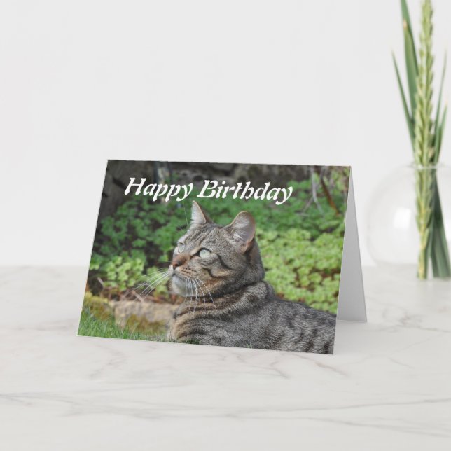 Carte d'anniversaire : Minnie le chat (Devant)