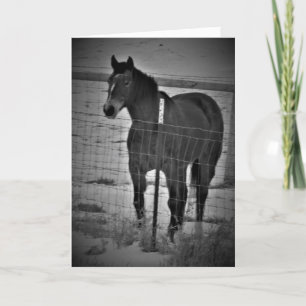 Carte d'anniversaire "Montez sur votre cheval"