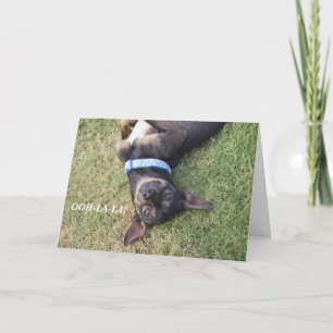 Carte d'anniversaire Ooh-la-Chihuahua