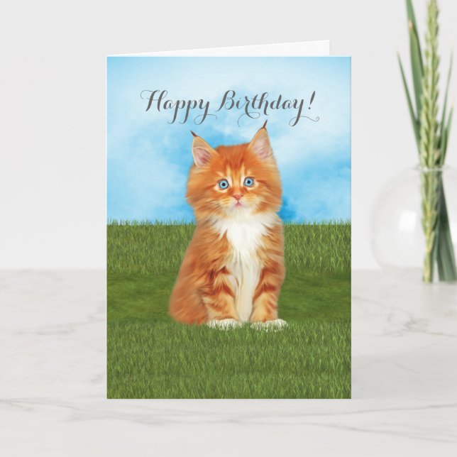 Carte d'anniversaire orange d'yeux bleus de chaton (Devant)